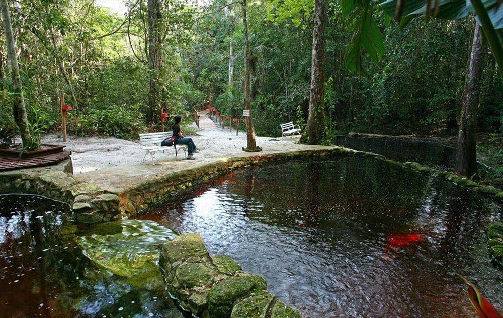 Amazone Eco Park Jungle Lodge Μανάους Εξωτερικό φωτογραφία