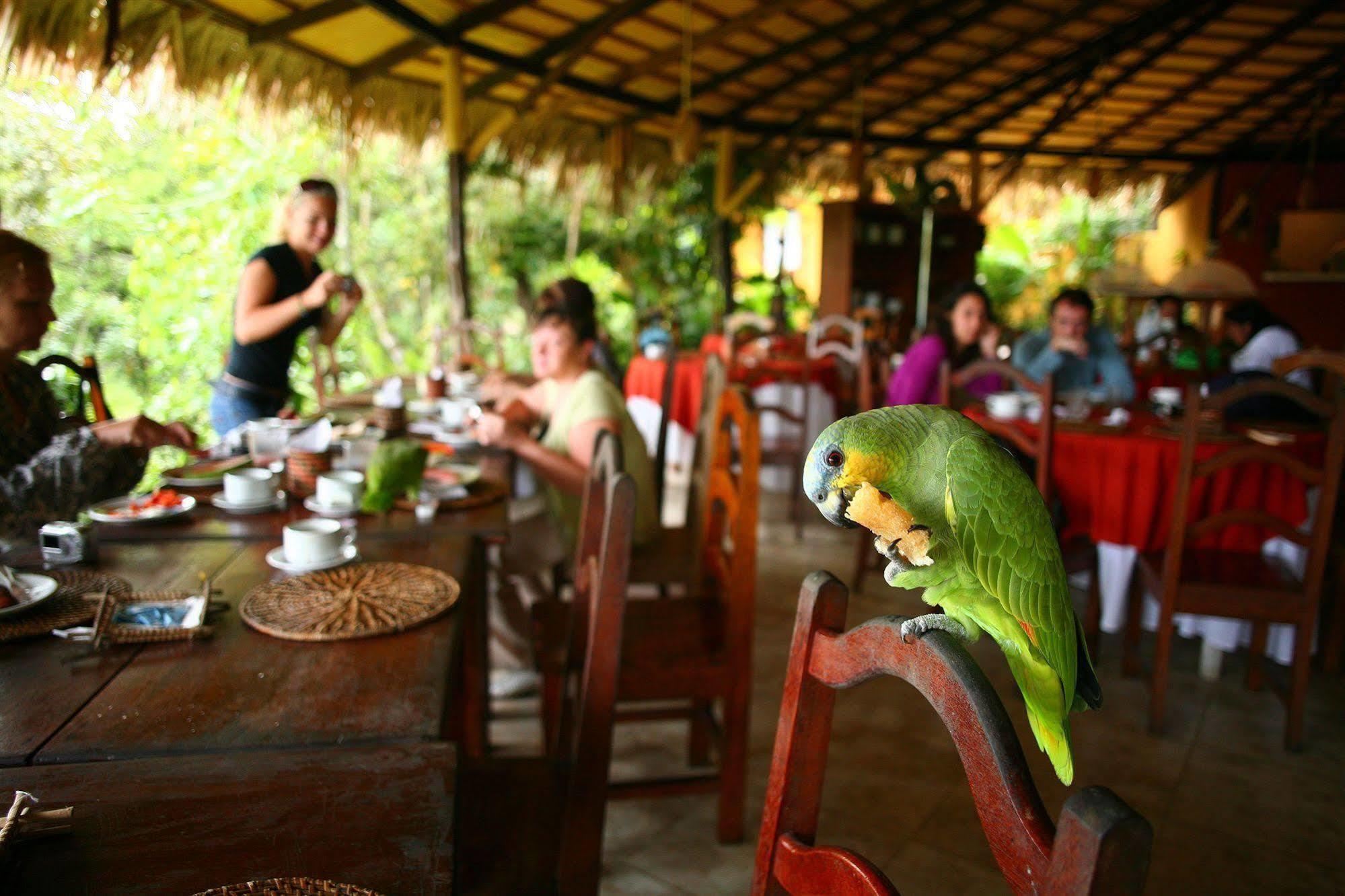 Amazone Eco Park Jungle Lodge Μανάους Εξωτερικό φωτογραφία